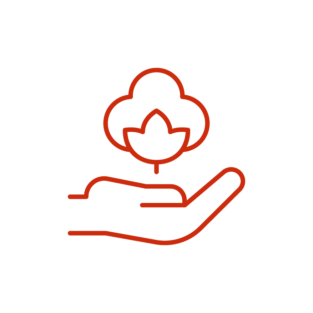 Icon of cotton plant representing organic cotton T-Shirts and eco friendly t-shirts by 2512 – Pacchis Barah